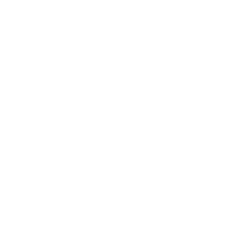 ico Car Loan Expert