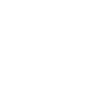 ico Door to Door Service Test Drive