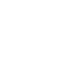 ico Low Interest Rate